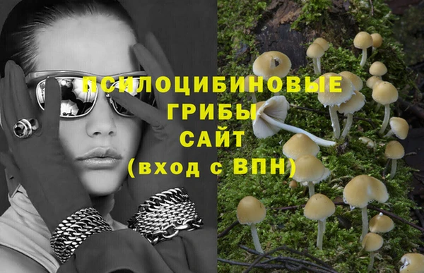 скорость Белокуриха