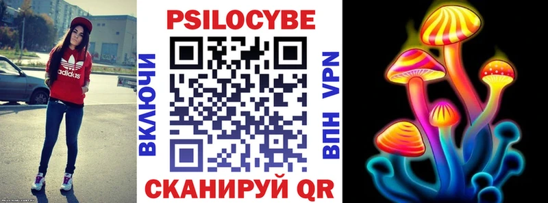 купить  сайты  Верещагино  Псилоцибиновые грибы GOLDEN TEACHER 